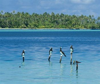 ホテルOpoa Beach Raiatea エクステリア 写真
